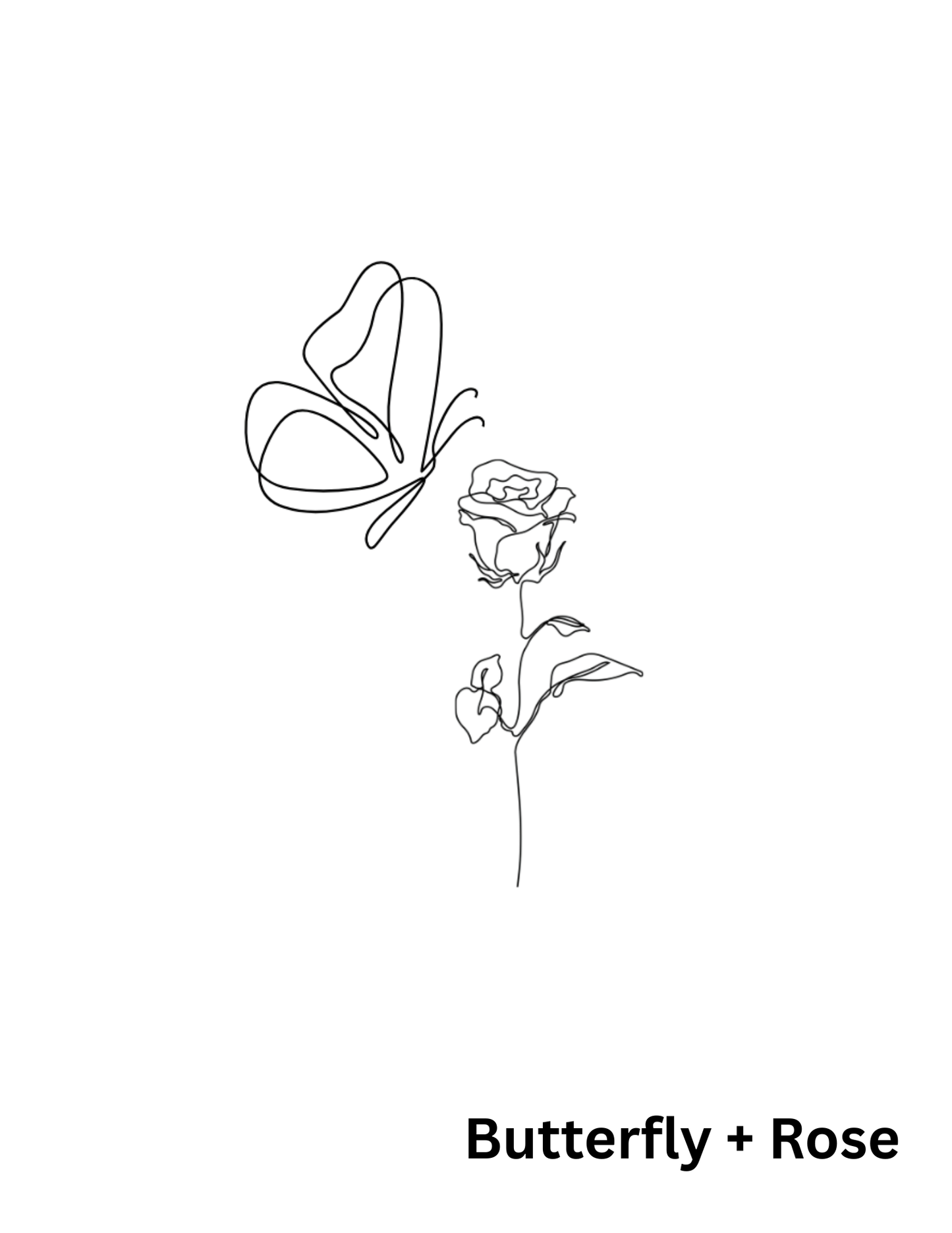 Digital Animal Downloads