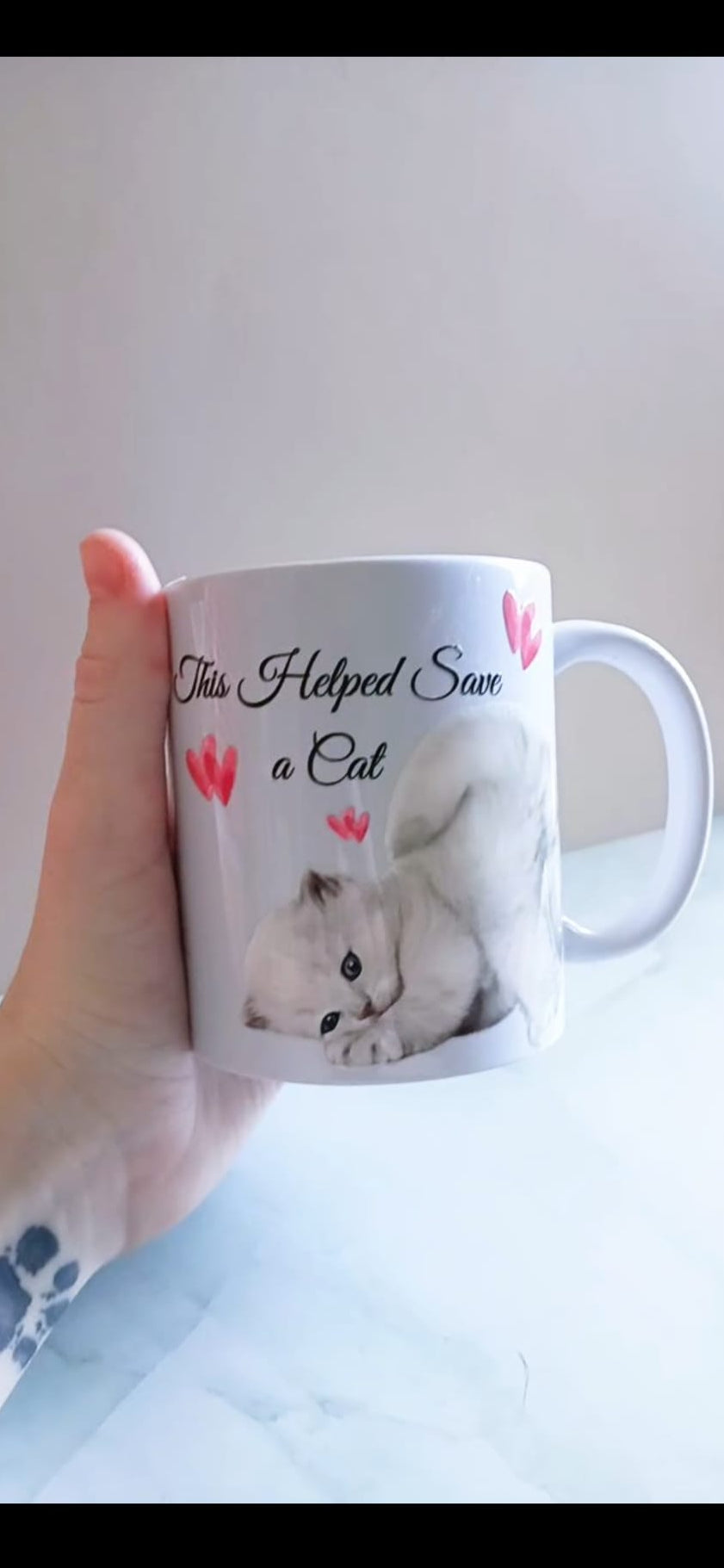Cute Kitten - This Helped Save A Cat