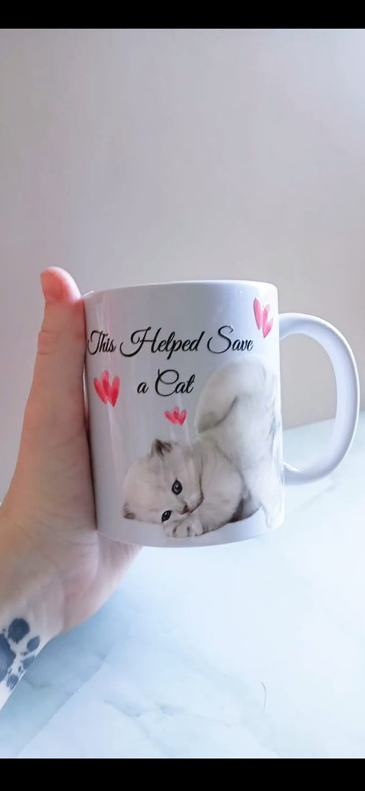 Cute Kitten - This Helped Save A Cat