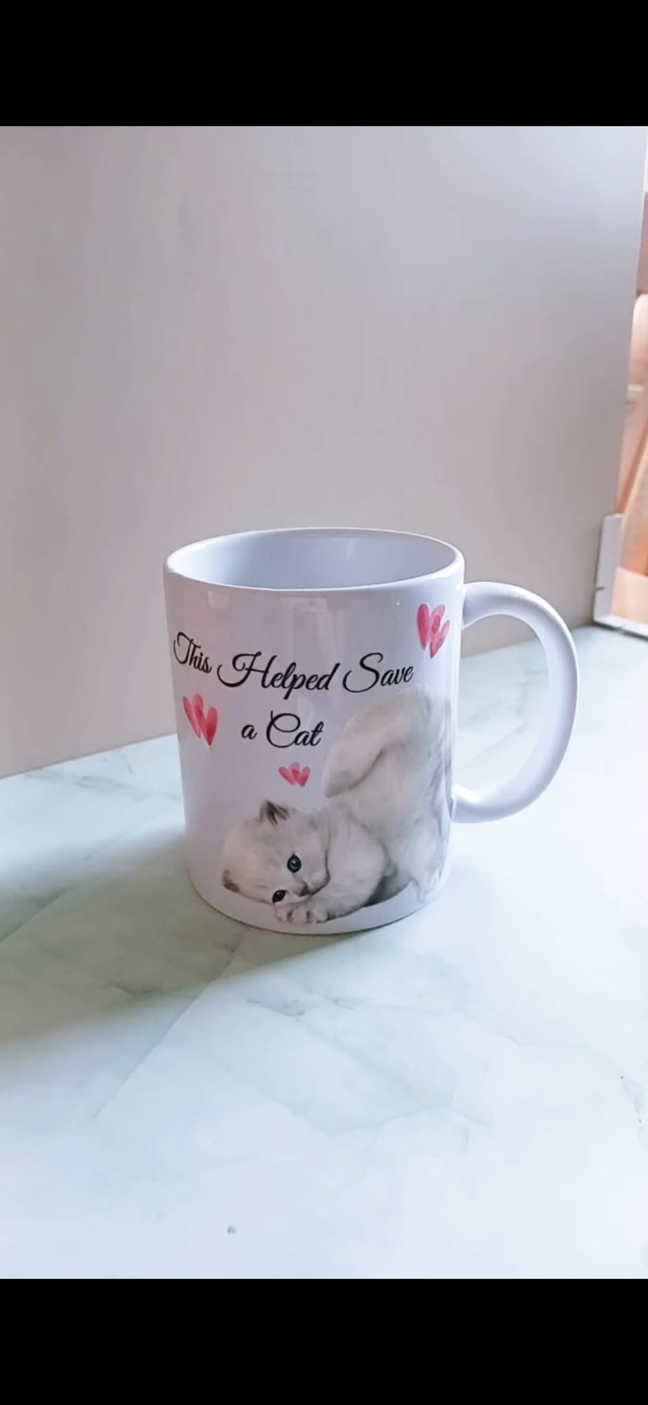 Cute Kitten - This Helped Save A Cat