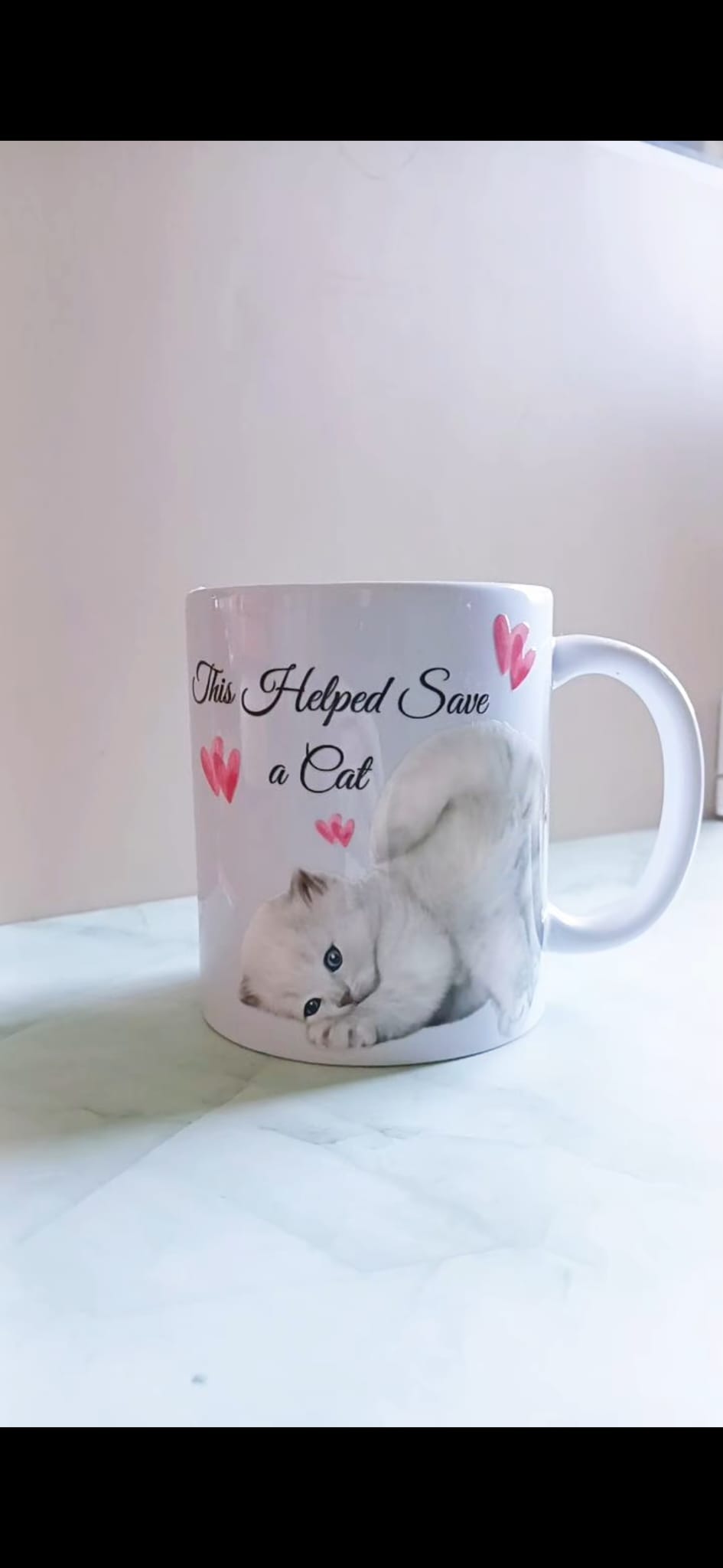 Cute Kitten - This Helped Save A Cat