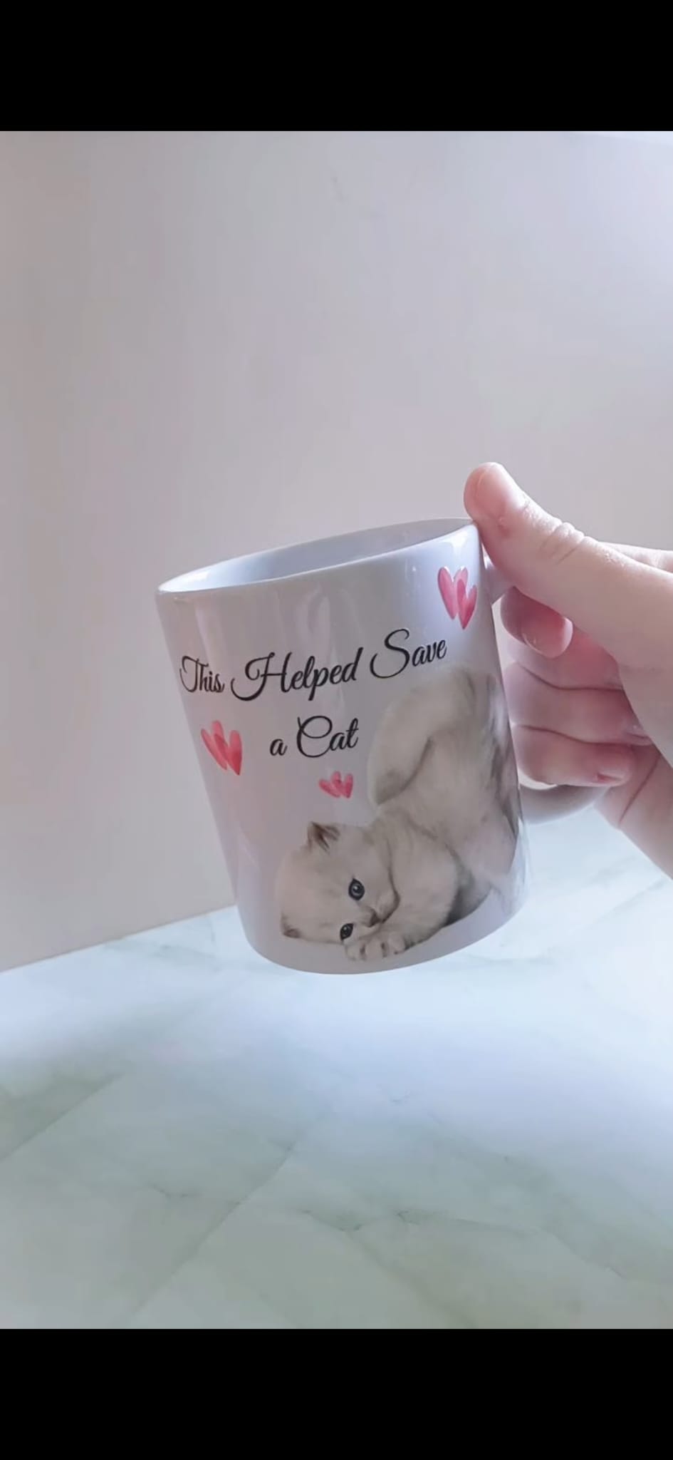 Cute Kitten - This Helped Save A Cat